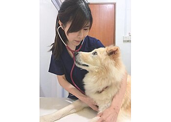 Bukit Batok Veterinary Clinics My Family Vet image 3 Bukit Batok Veterinary Clinics My Family Vet image 3