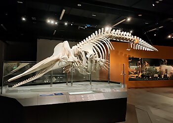 Buona Vista Tourist Attractions NUS Museum image 2 Buona Vista Tourist Attractions NUS Museum image 2