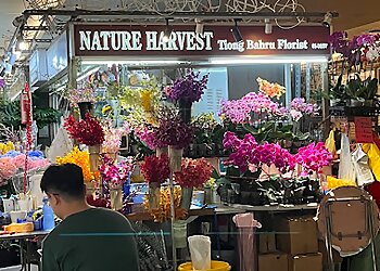 Nature Harvest Floral & Landscape photo Nature Harvest Floral & Landscape