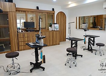Tanjong Pagar Pet Services Nekomori Cat Grooming Salon image 2 Tanjong Pagar Pet Services Nekomori Cat Grooming Salon image 2