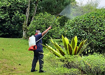 Clementi Pest Control Companies Ninja Pest Control Singapore image 2 Clementi Pest Control Companies Ninja Pest Control Singapore image 2