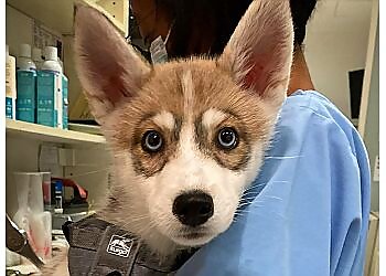 P.A.W. Veterinary Centre image P.A.W. Veterinary Centre