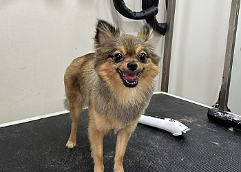 Petz@ark image Petz@ark