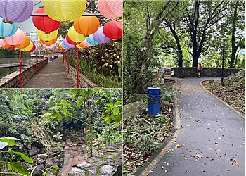 Bukit Panjang Tourist Attractions Pang Sua Pond image 3 Bukit Panjang Tourist Attractions Pang Sua Pond image 3