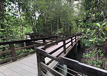 Pasir Ris Tourist Attractions Pasir Ris Park Mangrove Boardwalk image 2 Pasir Ris Tourist Attractions Pasir Ris Park Mangrove Boardwalk image 2