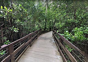 Pasir Ris Tourist Attractions Pasir Ris Park Mangrove Boardwalk image 3 Pasir Ris Tourist Attractions Pasir Ris Park Mangrove Boardwalk image 3