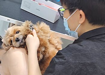 Sengkang Pet Services Pawdy House image 2 Sengkang Pet Services Pawdy House image 2