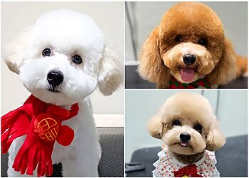 Sengkang Pet Services Pawdy House image 3 Sengkang Pet Services Pawdy House image 3