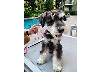 Bedok Pet Services Pawky Pawlyc image 3 Bedok Pet Services Pawky Pawlyc image 3