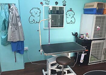 Geylang Pet Services Pawsitive Image image 2 Geylang Pet Services Pawsitive Image image 2