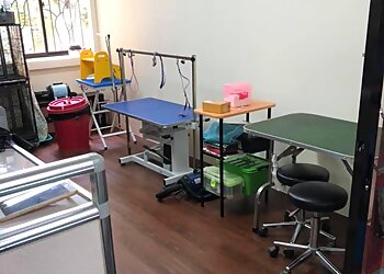 Toa Payoh Pet Services Perfect Paws image 2 Toa Payoh Pet Services Perfect Paws image 2