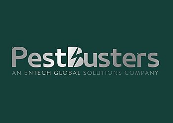 Chinatown Pest Control Companies PestBusters Pte. Ltd. image 2 Chinatown Pest Control Companies PestBusters Pte. Ltd. image 2