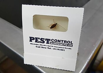 Tanjong Pagar Pest Control Companies Pest Control Islandwide Pte. Ltd. image 3 Tanjong Pagar Pest Control Companies Pest Control Islandwide Pte. Ltd. image 3
