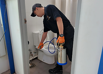 Woodlands Pest Control Companies Pest Free Management image 2 Woodlands Pest Control Companies Pest Free Management image 2