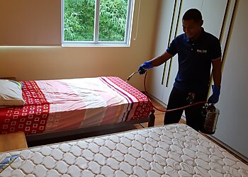 Jurong East Pest Control Companies Pest Off Pte. Ltd. image 2 Jurong East Pest Control Companies Pest Off Pte. Ltd. image 2