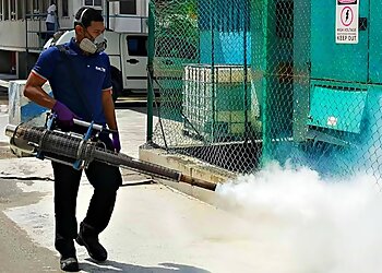 Jurong East Pest Control Companies Pest Off Pte. Ltd. image 3 Jurong East Pest Control Companies Pest Off Pte. Ltd. image 3