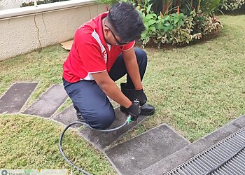 Hougang Pest Control Companies Pest React Pte. Ltd. image 2 Hougang Pest Control Companies Pest React Pte. Ltd. image 2
