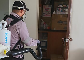 Yishun Pest Control Companies PestWerkz Solutions Pte. Ltd. image 3 Yishun Pest Control Companies PestWerkz Solutions Pte. Ltd. image 3