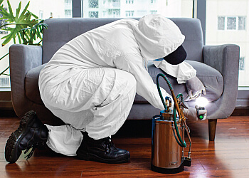 Pestbusters Pte. Ltd. image Pestbusters Pte. Ltd.