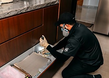 Tuas Pest Control Companies Pestcare Pte. Ltd. image 2 Tuas Pest Control Companies Pestcare Pte. Ltd. image 2