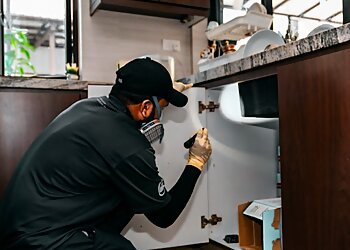 Tuas Pest Control Companies Pestcare Pte. Ltd. image 3 Tuas Pest Control Companies Pestcare Pte. Ltd. image 3