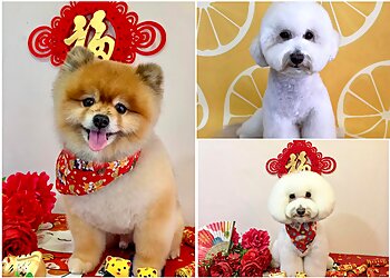 Toa Payoh Pet Services Pet Homie X Pet Saloon image 3 Toa Payoh Pet Services Pet Homie X Pet Saloon image 3