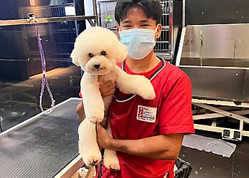 Chinatown Pet Services Pet Lovers Centre Chinatown image 2 Chinatown Pet Services Pet Lovers Centre Chinatown image 2