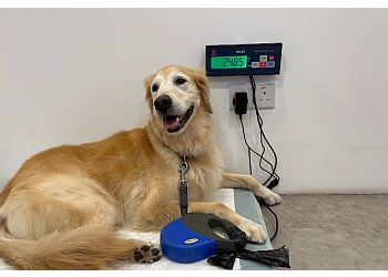 Little India Veterinary Clinics Pet Space Central Vet Surgery image 3 Little India Veterinary Clinics Pet Space Central Vet Surgery image 3