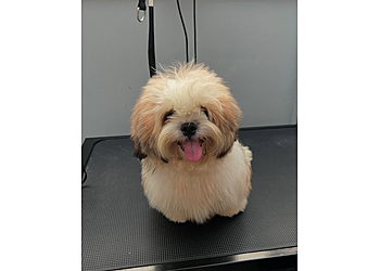 Choa Chu Kang Pet Services PetVilla image 2 Choa Chu Kang Pet Services PetVilla image 2