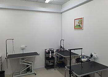 Ang Mo Kio Pet Services Petitudo image 2 Ang Mo Kio Pet Services Petitudo image 2