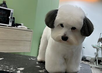 Tiong Bahru Pet Services Petpawroni image 2 Tiong Bahru Pet Services Petpawroni image 2