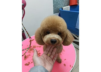 Jurong West Pet Services Petscraft image 2 Jurong West Pet Services Petscraft image 2