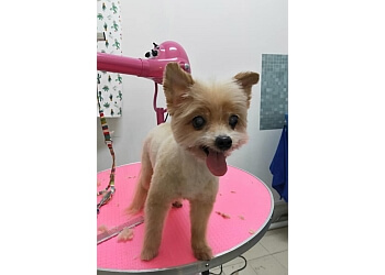 Jurong West Pet Services Petscraft image 3 Jurong West Pet Services Petscraft image 3