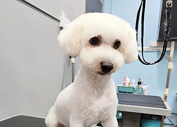 Bedok Pet Services Pets Eden Spa & Salon image 2 Bedok Pet Services Pets Eden Spa & Salon image 2