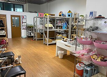 Pet's Galaxy Pte. Ltd. photo Pet's Galaxy Pte. Ltd.