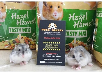 Pets' Gantry photo Pets' Gantry