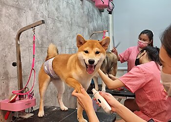 Choa Chu Kang Pet Services Pet's Lagoon image 2 Choa Chu Kang Pet Services Pet's Lagoon image 2