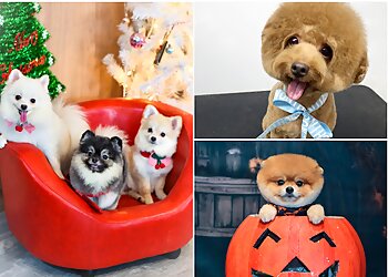 Choa Chu Kang Pet Services Pet's Lagoon image 3 Choa Chu Kang Pet Services Pet's Lagoon image 3