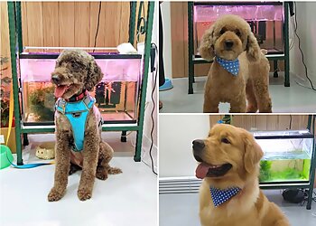 Petz Central image Petz Central