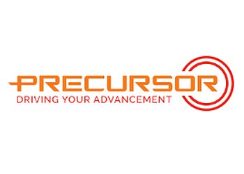 Precursor Assurance LLP image Precursor Assurance LLP