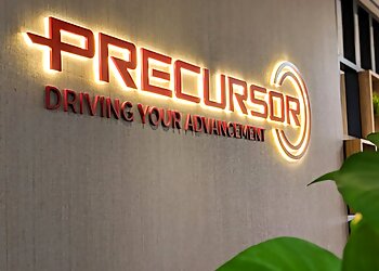 Precursor Assurance LLP