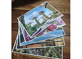 Pasir Ris Printing Companies Premium Printing image 1