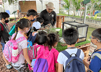 Read Think Learn Education Hub image Read Think Learn Education Hub