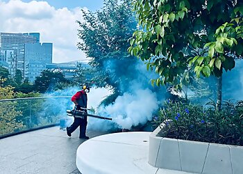 Toa Payoh Pest Control Companies Rentokil image 2 Toa Payoh Pest Control Companies Rentokil image 2