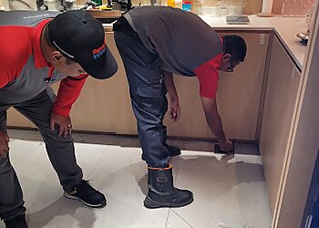 Queenstown Pest Control Companies Rentokil Initial Pest Control Queenstown image 3 Queenstown Pest Control Companies Rentokil Initial Pest Control Queenstown image 3