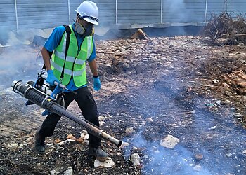 Bukit Batok Pest Control Companies Ridpest Pte. Ltd. image 2 Bukit Batok Pest Control Companies Ridpest Pte. Ltd. image 2