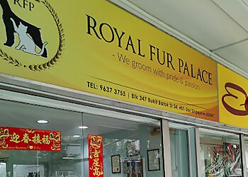 Bukit Batok Pet Services Royal Fur Palace image 1