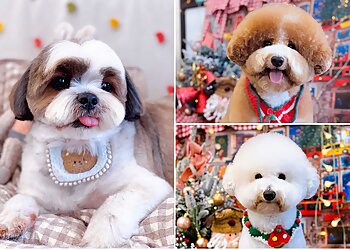 Bedok Pet Services Royal Pets Paradise image 3 Bedok Pet Services Royal Pets Paradise image 3