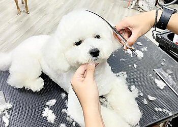 Ruff Cuts photo Ruff Cuts