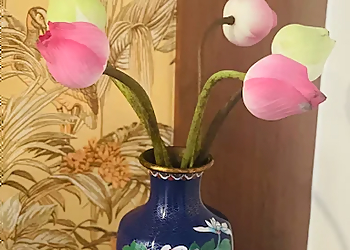 Ang Mo Kio Flowers And Gifts Shops SG Flowers image 2 Ang Mo Kio Flowers And Gifts Shops SG Flowers image 2